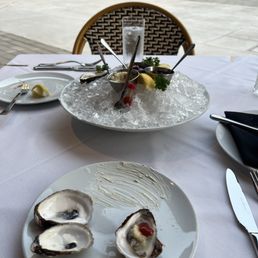 East coast oysters