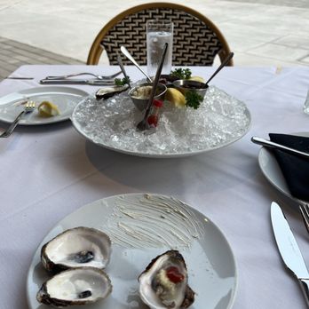 Georgia James - East coast oysters - Steakhouses Near Me - Houston, Texas