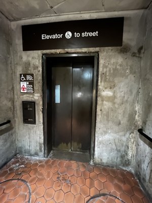 DuPont Circle by null