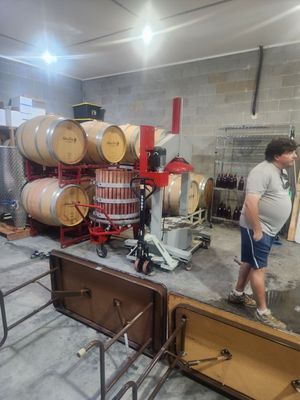 Addison Farms Vineyard by null