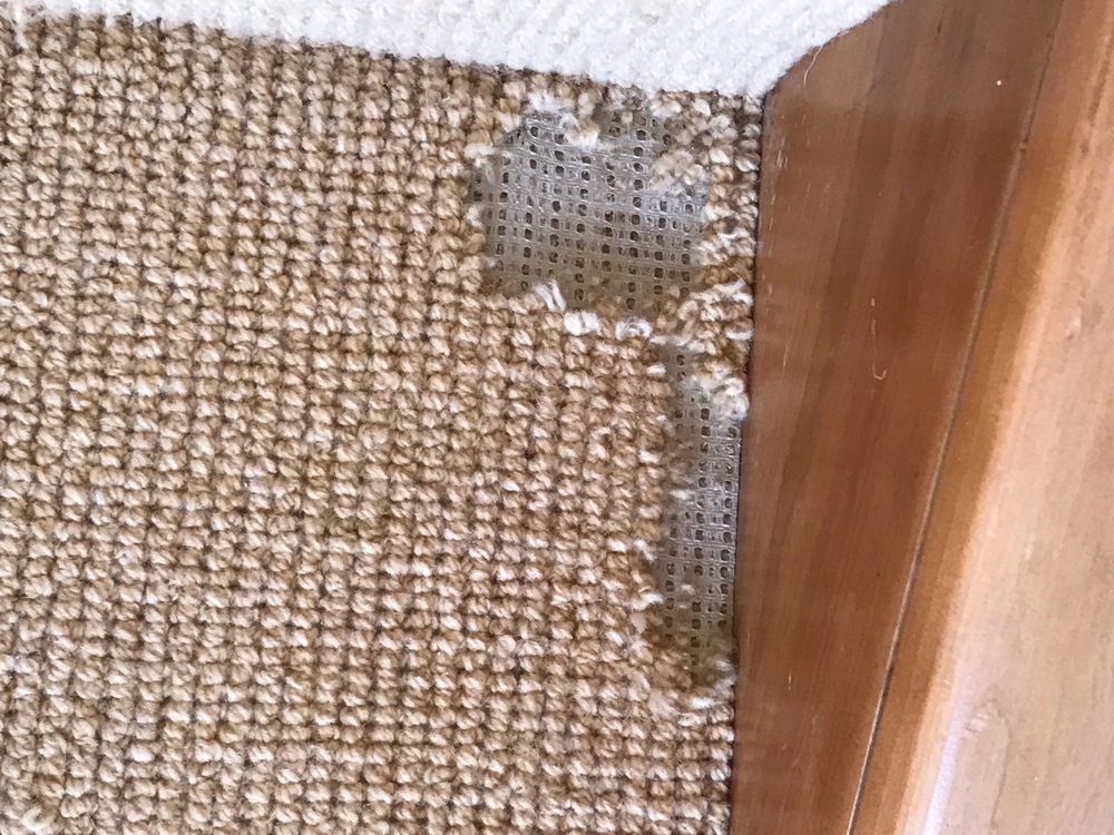 RON’S CARPET DETAIL Updated October 2024 10 Photos & 46 Reviews