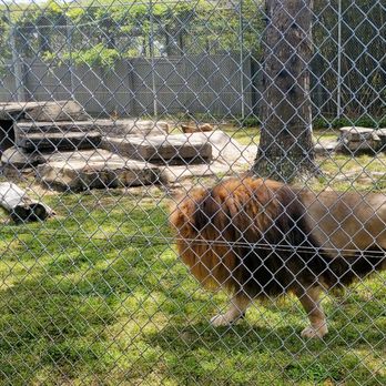 Gulf Breeze Zoo - Zoos Near Me - Gulf Breeze, Florida Gulf Breeze Zoo - Zoos Near Me - Gulf Breeze, Florida