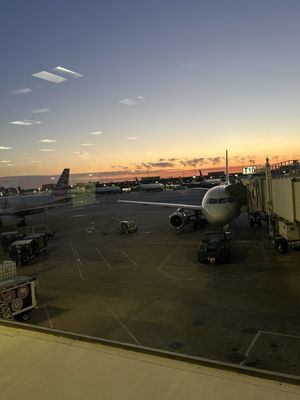 American Airlines by null
