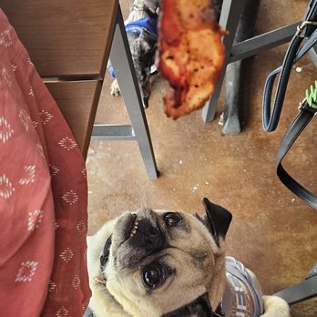 Daily Dose - Bacon for my baby! - Breakfast & Brunch Near Me - Scottsdale, Arizona