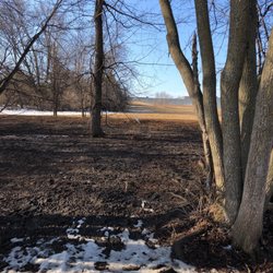 Bloomington Dog Park