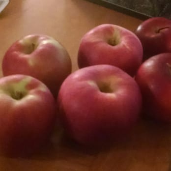 Hidden Valley Orchards - Northern spy, red roman, and pioneer mcintosh. - Pick Your Own Farms Near Me - Lebanon, Ohio