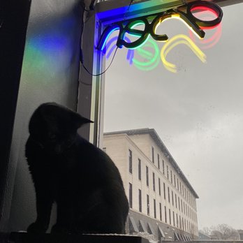 Happy Cat Cafe - Inside - Coffee & Tea Near Me - Grand Rapids, Michigan