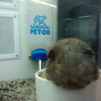Petco - Pet Stores Near Me - Bakersfield, California Petco - Pet Stores Near Me - Bakersfield, California