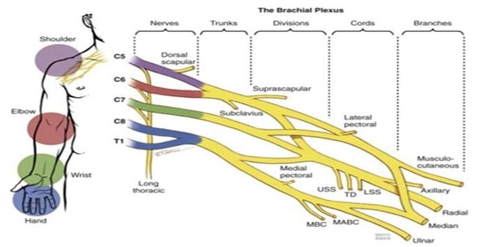 Ky Workers Comp Law - disability attorney in Covington, KY