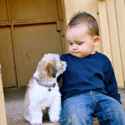 Swenson Chiropractic - Don't miss the precious moments with back pain!!!