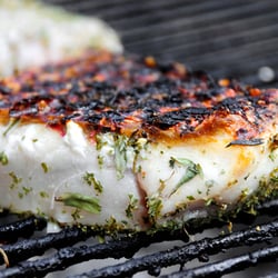 Meats2U - Premium sashimi-grade Alaskan Halibut fillets.
