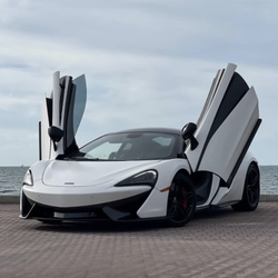 Figo Luxury