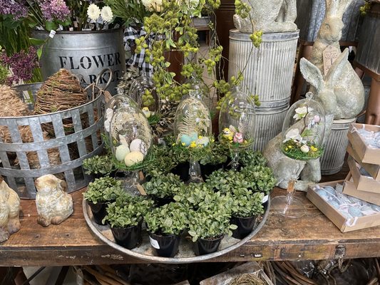 Faddegon S Nursery 1140 Troy Schenectady Rd Latham Ny Landscaping Mapquest