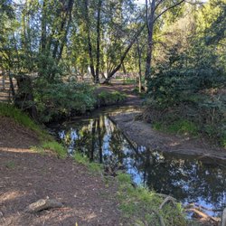 Peri Park - Peaceful creek