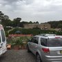 Dural Christmas Tree Farm
