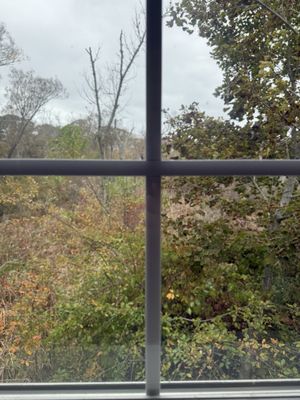 The Flying Fish by null