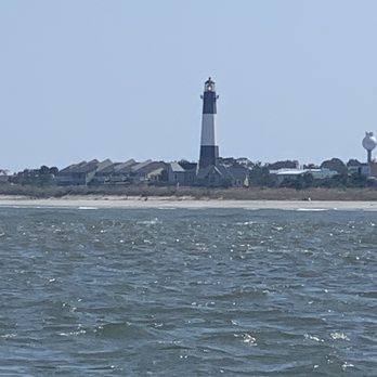 Capt. Mike's Dolphin Adventure Tour - Tours Near Me - Tybee Island, Georgia Capt. Mike's Dolphin Adventure Tour - Tours Near Me - Tybee Island, Georgia