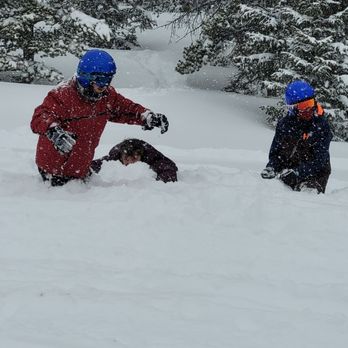 Monarch Snowmobile Tours  - Tours Near Me - Monarch, Colorado