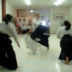Aikido Ai