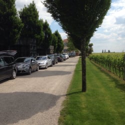 Weingut Schneider - Weingut Schneider in Ellerstadt
