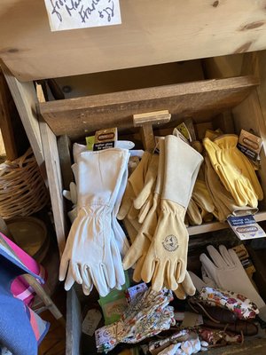 Columbia Mercantile 1855 by null