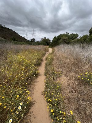 Tecolote Canyon Natural Park and Nature Center by null