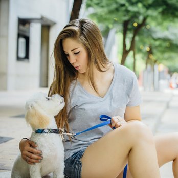 Austin Dog Butler - Dog Walkers Near Me Austin Dog Butler - Dog Walkers Near Me
