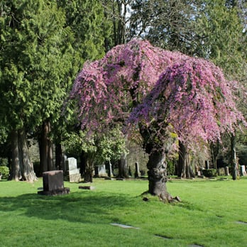 River View Cemetery - Funeral Services & Cemeteries Near Me - Portland, Oregon River View Cemetery - Funeral Services & Cemeteries Near Me - Portland, Oregon