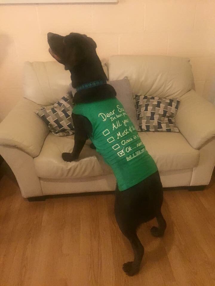 TOP DOGS ACTIVITY CENTRE Lowercroft Road, Bury, Greater Manchester