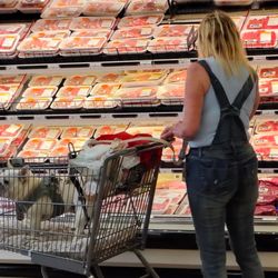 Stop & Shop - This is against all health department rules. Only service dogs are allowed, and NOT in shopping carts!!!!!