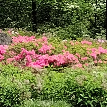 NEW YORK BOTANICAL GARDEN - Updated August 2025 - 8404