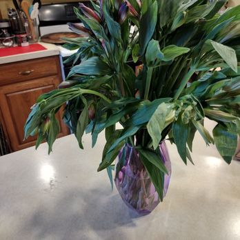 BloomsyBox - Evening of delivery date - Florists Near Me - Miami, Florida BloomsyBox - Evening of delivery date - Florists Near Me - Miami, Florida