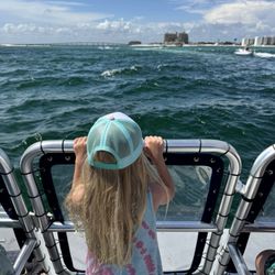 Flippers Adventures - Watching dolphins .