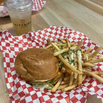 CITYBIRD FISHERS visual data 5