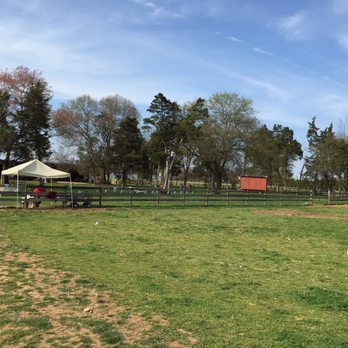 Braehead Farm - Easter - Farmers Market Near Me - Fredericksburg, Virginia