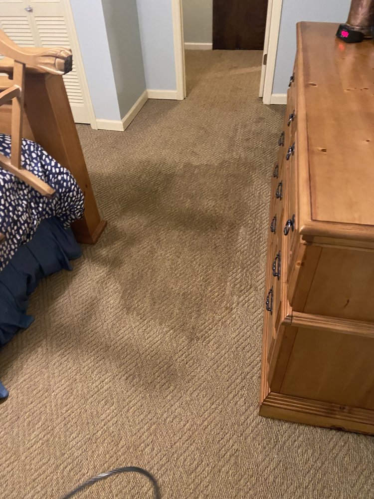 HOMEAWAY CARPET & UPHOLSTERY Updated September 2024 Request a Quote 14 Photos