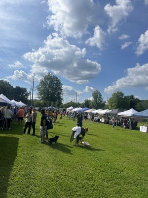 Hip Donelson Farmers Market by null