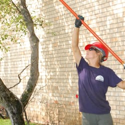 Rainbow Treecare