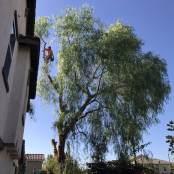 Don Williams Landscape & Trees - Tree Services Near Me - Orange, California
