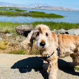 Zoey checks out the place.