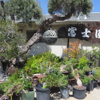 Fuji Bonsai Nursery - Nurseries & Gardening Near Me - Sylmar, California