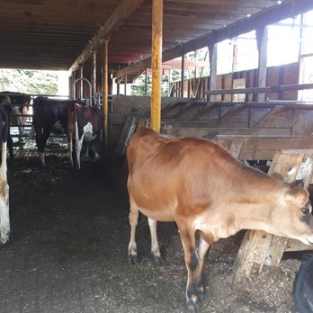 Little Qualicum Cheeseworks - Cheese Shops Near Me - Parksville, British Columbia