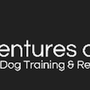 Photo of Finn Family Dog Training