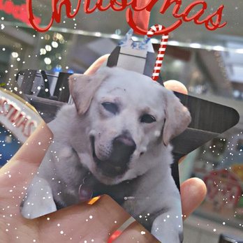 Personalized Gifts - Star ornament. - Customized Merchandise Near Me - West Covina, California Personalized Gifts - Star ornament. - Customized Merchandise Near Me - West Covina, California