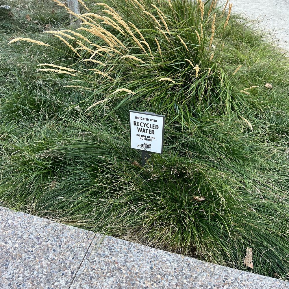 Meadow Park - Parks Near Me - Santa Clara, California