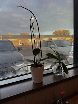 Cantonese Wong's Café by null