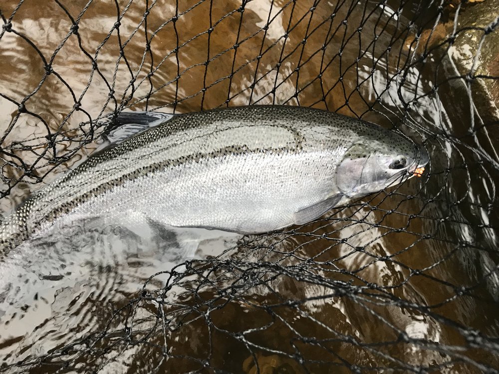 MIDRIVER MOTEL & CAMPGROUND Updated September 2024 15 Photos 644