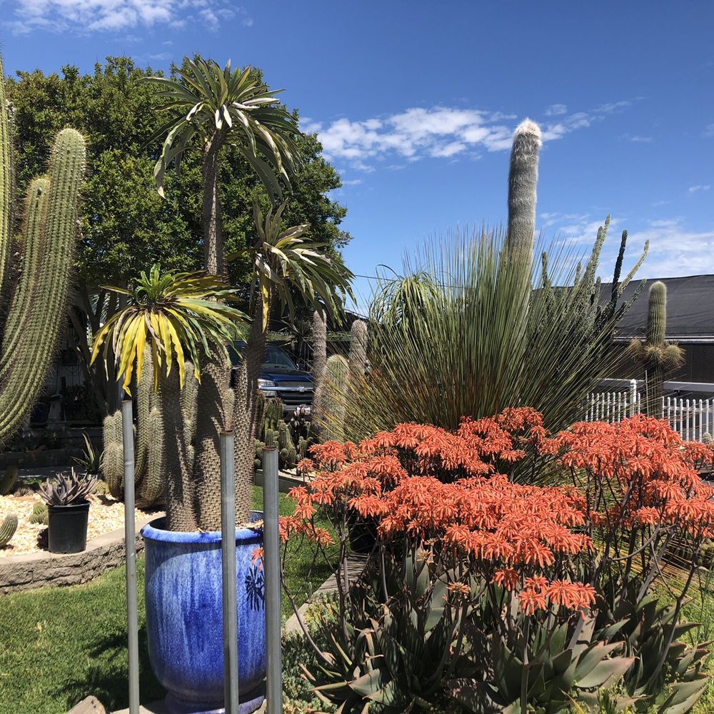 Poot's Cactus Nursery - Nurseries & Gardening Near Me - Ripon, California Poot's Cactus Nursery - Nurseries & Gardening Near Me - Ripon, California