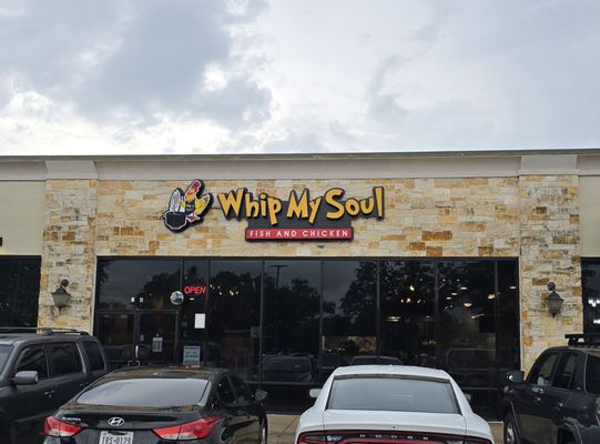 Whip My Soul by null