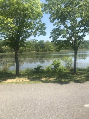Lake Artemesia Natural Area by null